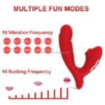 2 In 1 Clit Sucker And Insertable Vibrator