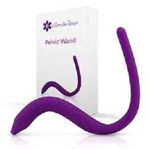 Vibrating Pelvic Wand