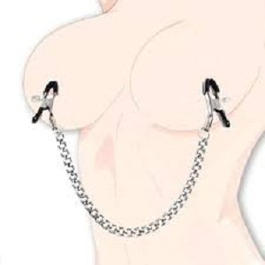Adjustable Metal BDSM Nipple Clamps