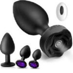 4Pcs Butt Plug Remote Control And Anal Plug Sex Toys