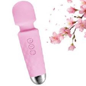 Portable Cordless Massager Multiple Speeds And Modes For Body With Rose